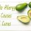 Avocado Allergy – the causes and cures
