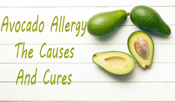 Avocado Allergy Cures