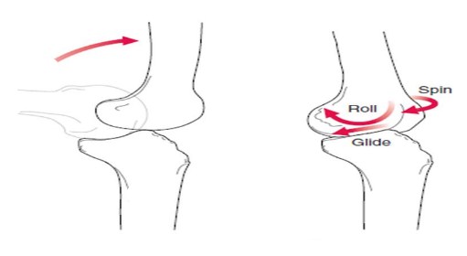Osteoarthritis of osteoarthritis Osteoarthritis