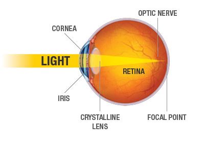 eye-diagram-sharper-vision-centers-torrance-ca
