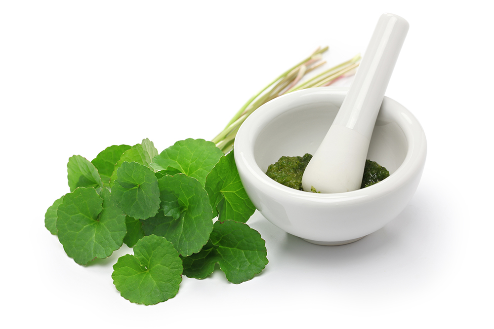Gotu Kola